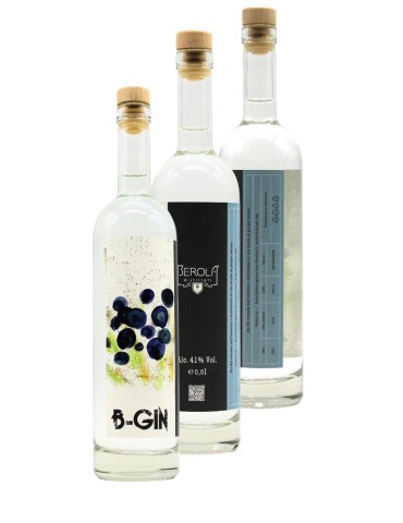 B•Gin